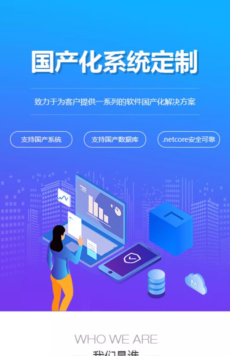 系统定制开发引领信息化革新之路
